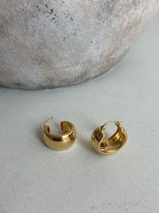 Nyra Chunky Hoops