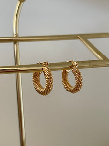 Francine Hoops